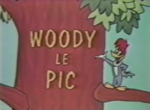 Woody Woodpecker - image 12