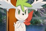 Pokémon : Film 11 - Giratina et le Gardien du Ciel - image 8